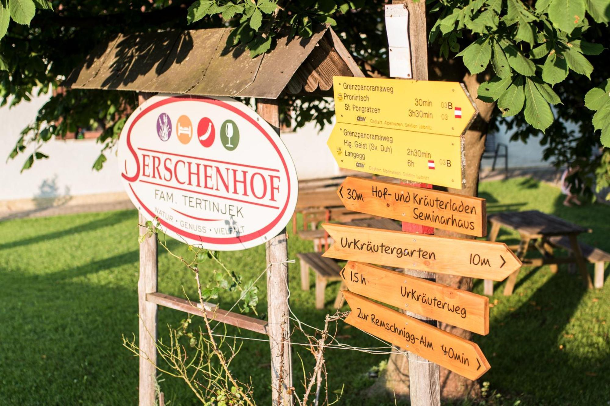 Serschenhof- Auszeit Ueber Dem Stall 里欧查赫 外观 照片